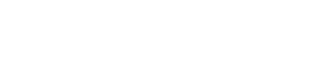 Jundroo